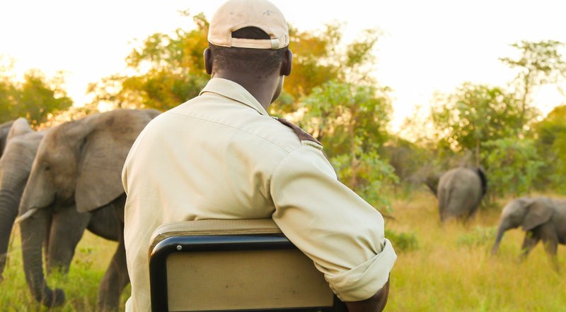 What To Do in Mfuwe, Beyond South Luangwa Safari