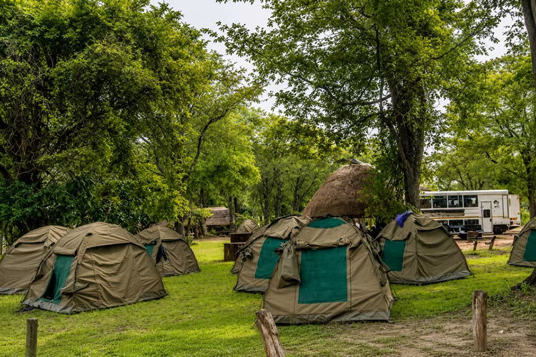Wildlife Camp offers more affordable accommodation options near one of Africa's most famous national parks. (Image courtesy of Wildlife Zambia Camp).