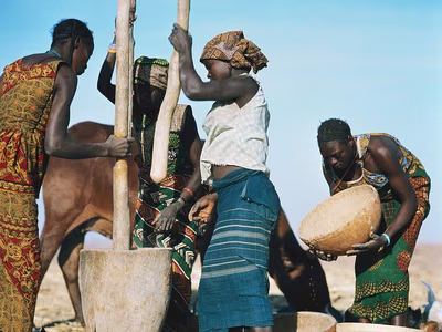 The Alarming Rise of Aflatoxins in Zambia