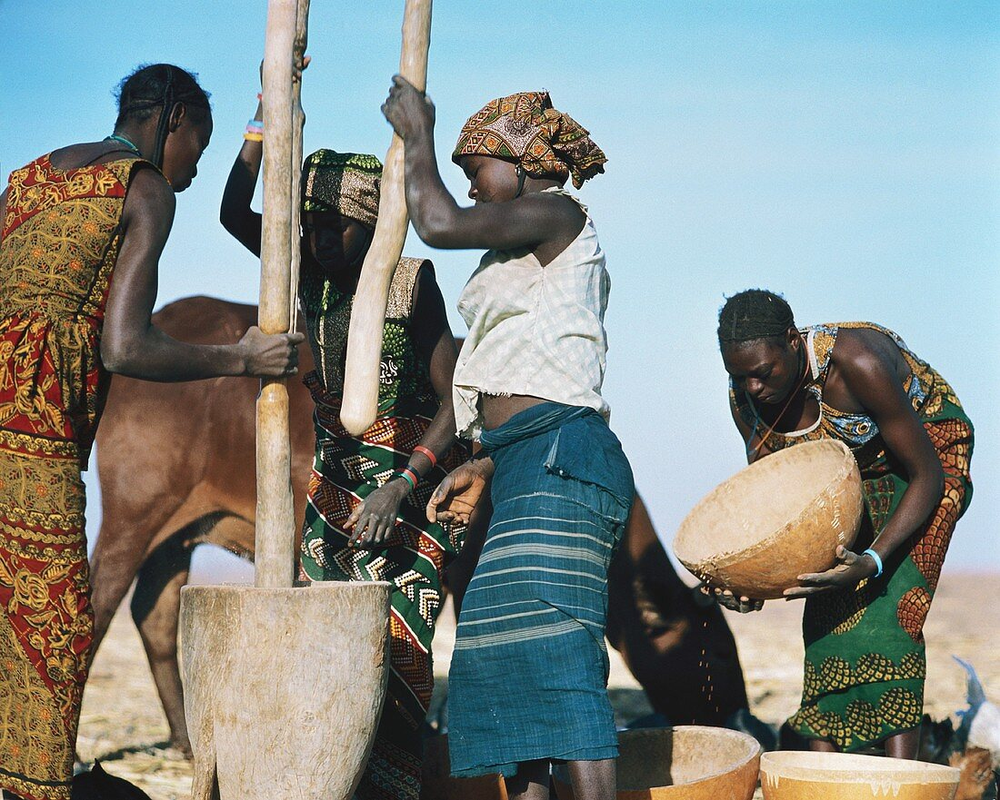 <p data-block-key="9sv29">The Alarming Rise of Aflatoxins in Zambia</p>