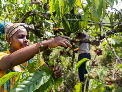 Healing Zambian Foods with Secret Healing Powers