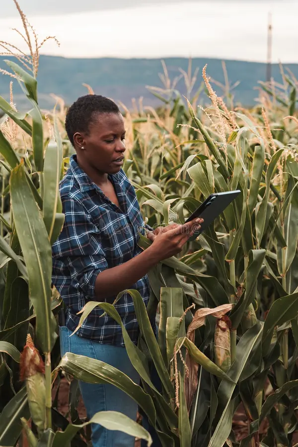 For small business owners... strategy should involve connecting offerings to expanding industries. Manage cash flow meticulously.