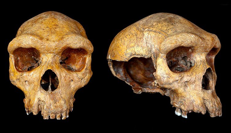 Zambia's Archaeological History