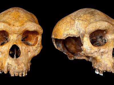 Zambia's Archaeological History