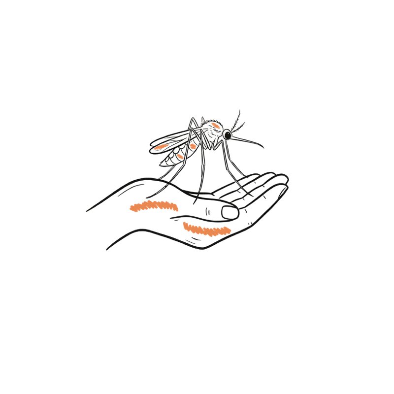 Save the Mosquitoes Ministries