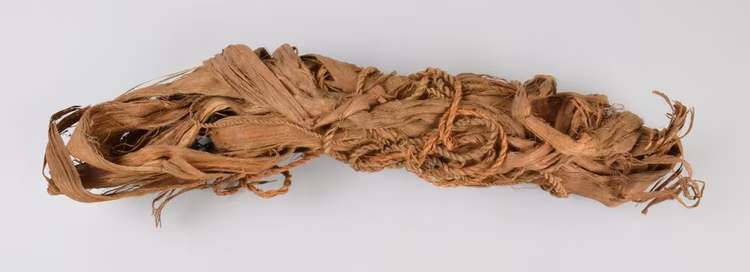 A piece is broken & the fibre stripped, the particles of fibre being twisted into thread by rolling with the palm of the hand on the leg if required for very coarse work. (Image courtesy of The British Museum).