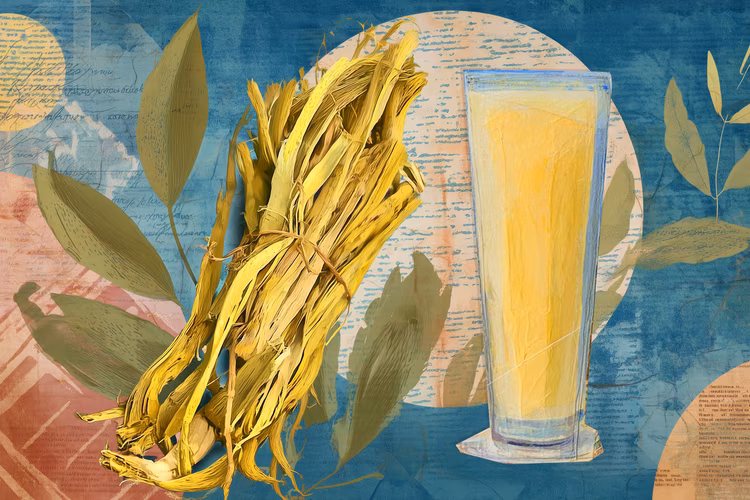 Munkoyo is made without sterile factories or packaged yeast, the microbes come from the air, the vessels, and the roots themselves. That’s why it tastes different in each household. (Image is artists impression).