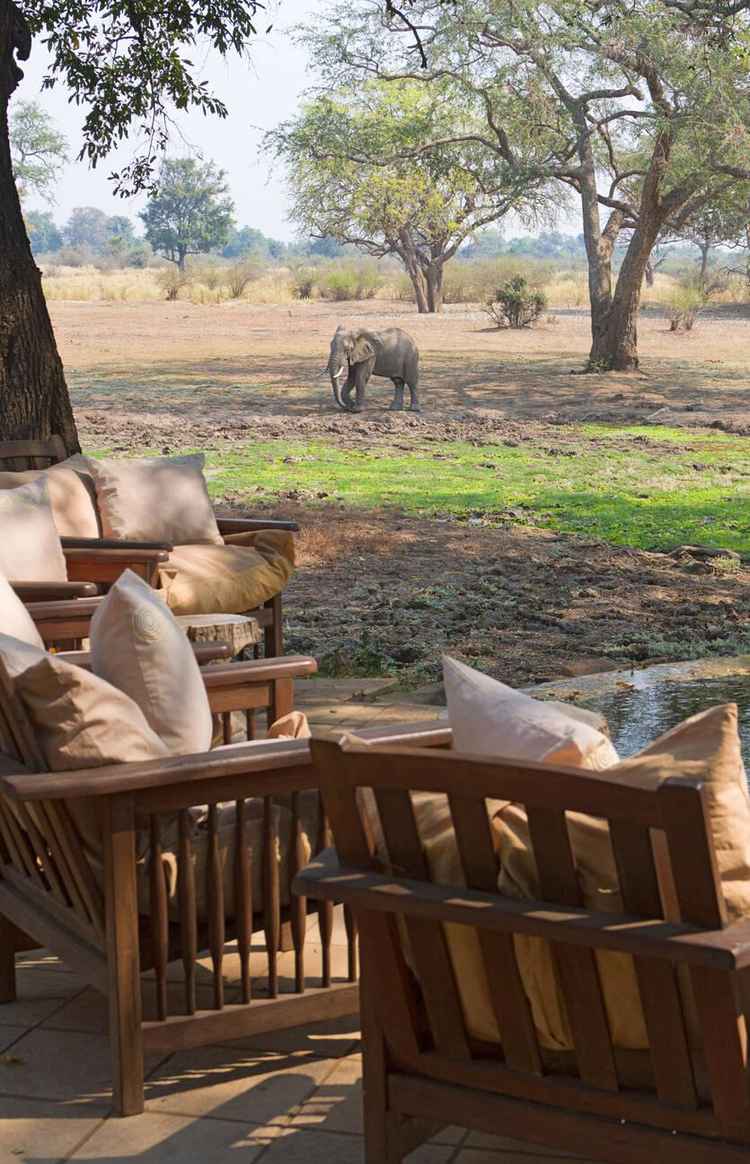 Animal viewing for a safari lodge deck in Zambia