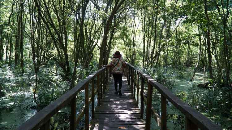 Lekki Conservation Centre in Lagos