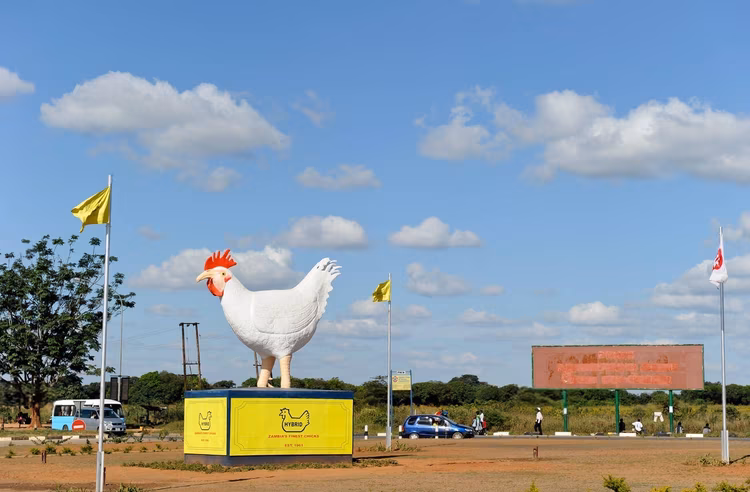 A passionate patriot with an inhuman level of time management.