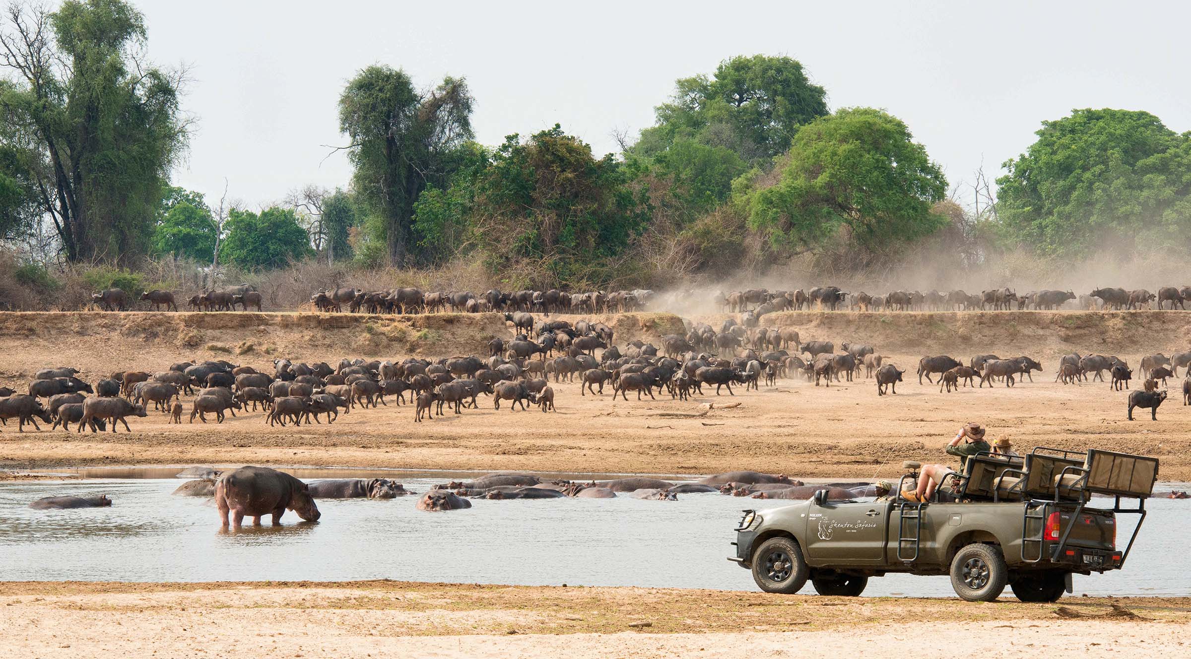<p data-block-key="xa0dk">Mwamba Bush Camp</p>