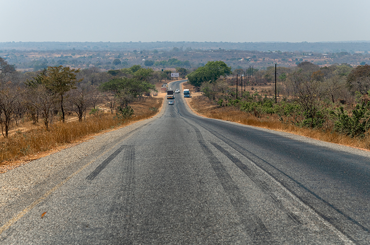 Road Networks and the Zambian Export Market