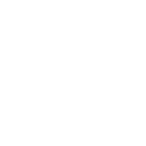 video icon
