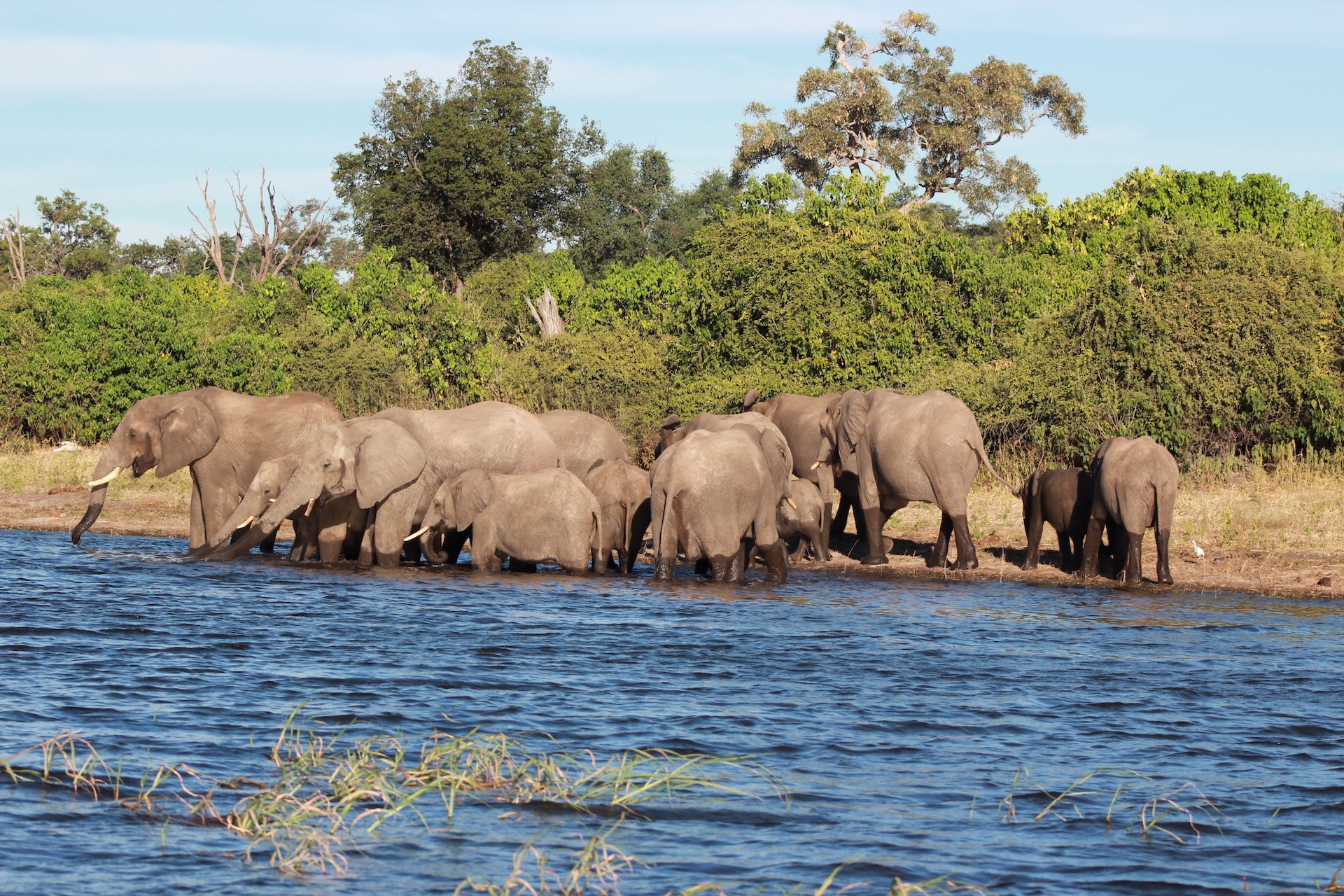 <p data-block-key="8xr3e">BOTSWANA</p>